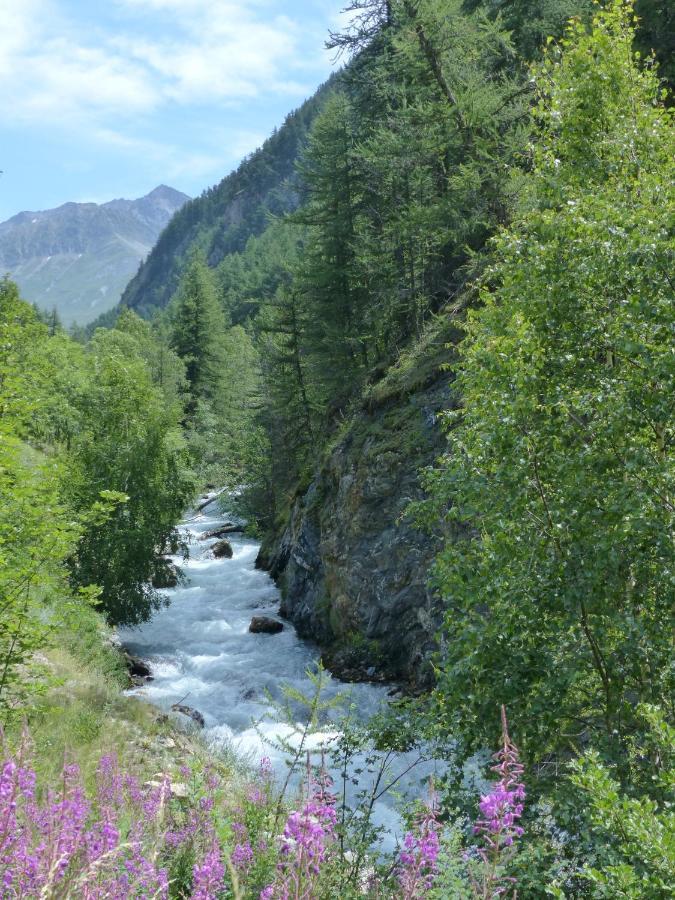 شقة Tranquillite Et Authenticite Au Pied Des Ecrins Villar-dʼArène المظهر الخارجي الصورة